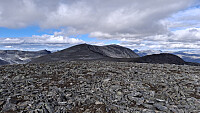 terje_20250916_68c92f1cd70db.jpg