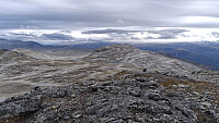 terje_20250916_68c92f2240d6e.jpg