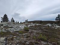 Solem_20251011_68ea0ea8234a7.jpg