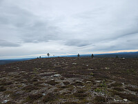 Solem_20251011_68ea0ea983f1d.jpg
