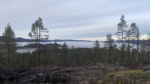 Utsikt fra toppunktet