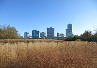 Looking over to Donau-City from Donaupark