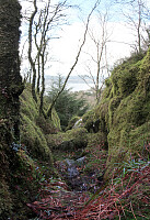 On our way down from Morvikavarden towards the west (to Morviklien)