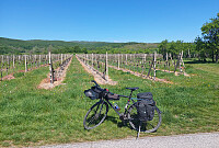 Biking along the foothills of the Carpartians to Smolenice