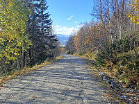 tronfjell_20251009_68e7994583fbc.jpg