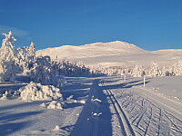 tronfjell_20260120_696f752173f44.jpg