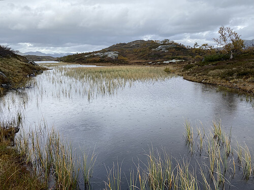 Høstmyr