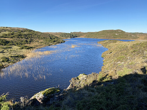 Dalsvatnet sett frå sørvest