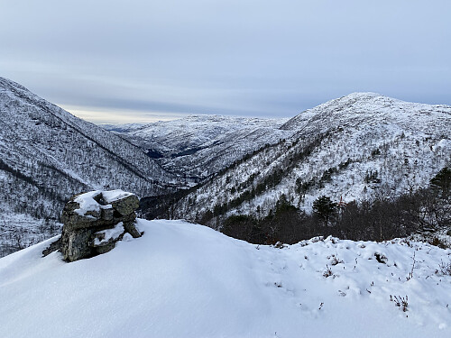Utsikt mot Øktarenuten og Nonsnut som nesten går i ett, og ned dalen mot Grastjørn ved E134