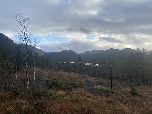 Frå Tysdalsheia mot Forenesvatnet