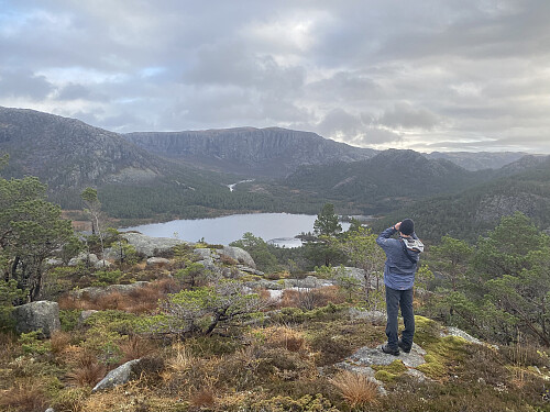 Kikkertstudier frå Solknuten