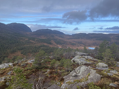 Utsikt mot Tysdalsheia og Reinaknuten