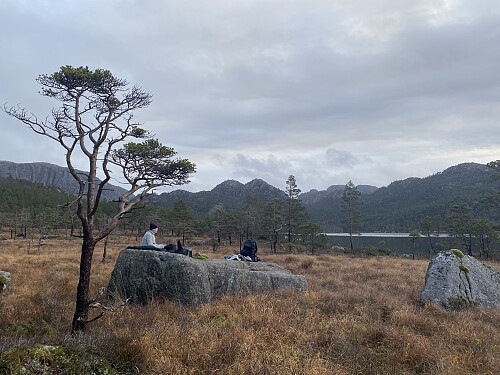 Mat- og kaffipause ved Forenesvatnet