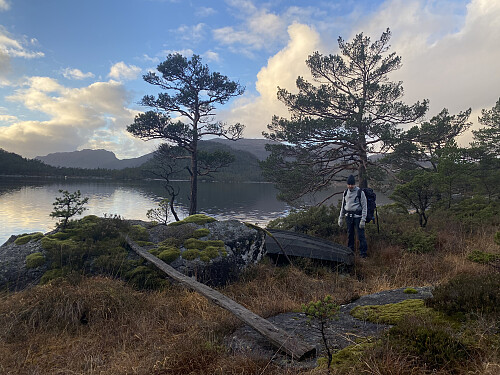 Gammal trepram ved Forenesvatnet