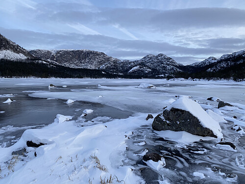 Vintraleg ved Forenesvatnet, her med tilbakeblikk mot Vardhusheia og Knausane