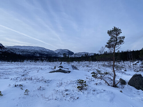 Mot Tysdalsheia med Reinaknuten bakerst