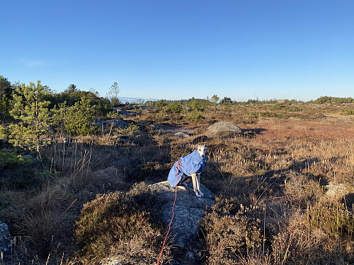 Om lag halvvegs, vest for Ilsvatnet