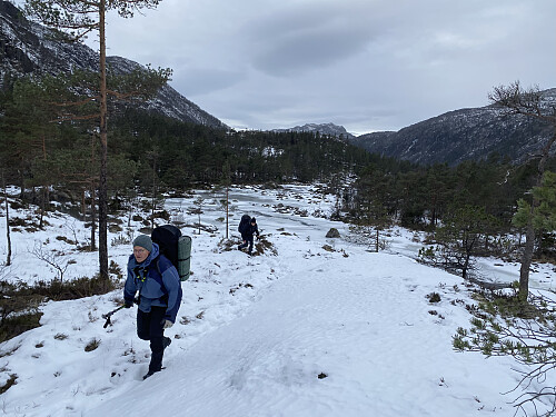 I fint driv oppover langs Grimsliåna