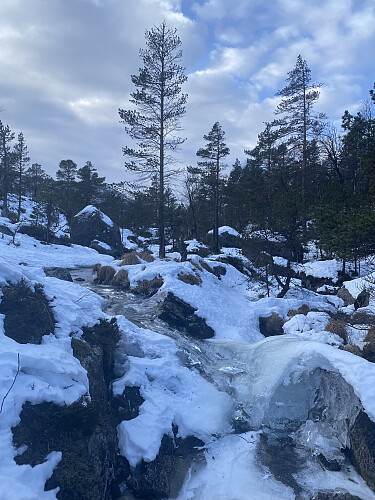 Iskunst i bekken frå store Nagatjødna