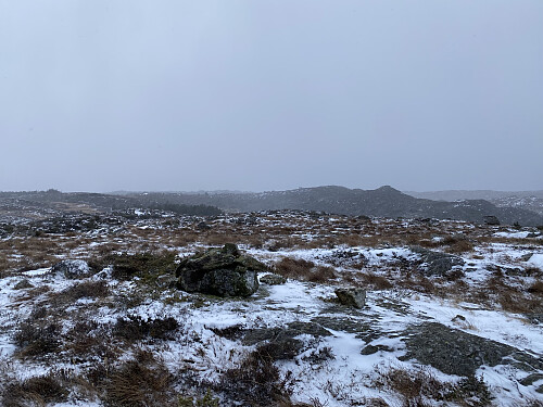 Småsurt på Hilleslandhaugen med Aurfjellet i bakgrunnen