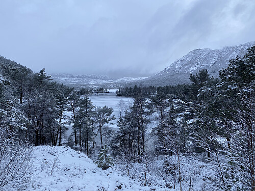 Forenesvatnet sett frå hytta i søraust. Krunefjell dannar bakgrunnen