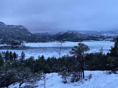 Forenesvatnet sett frå utsiktspunktet ovanom hytta. Det er snart open råk heilt over til utløpsosen