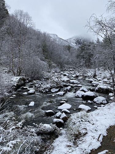 Ved Småsilbekken. Hodna som pleier å stikka seg fram, er dekte av skodda