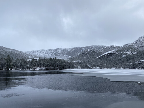 Ved indre delen av Forenesvatnet mot Vardhusheia