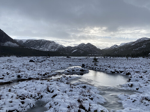 Forenesvatnet sett frå myrene i nordvest. Me ser bl. a. Vardhusheia og Knausane