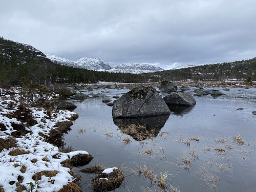 Ved utløpet av Forenesvatnet mot Tysdalsheia og Reinaknuten