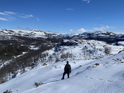 Vintraleg nedgang med flott utsikt mot Reinsnuten og Nattlandsnuten