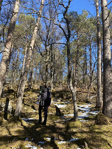 Dei første snøflekkane møter oss på snaut 550 moh