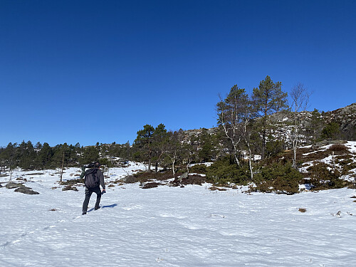 På veg mot fjordutsikt ved Fjerdingskiftjuvet