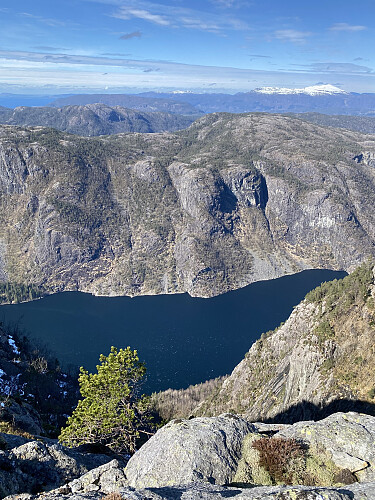 Frå same staden mot Tyssefjorden og Skute. Kvitpynta Grytenuten dominerer i bakgrunnen