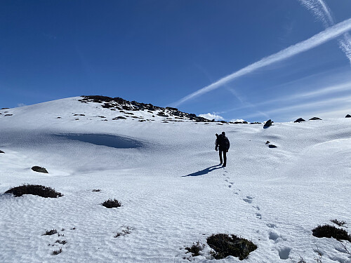 Oppunder toppen av Skipet