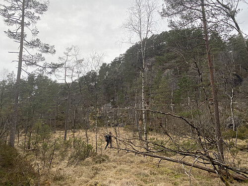 Typisk terreng med myrer, blandingsskog og tallause knausar