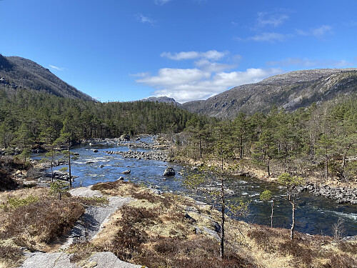 Vårflaumen i Grimsliåna er tydelegvis overstått