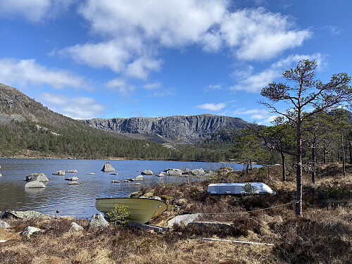 Fint og isfritt ved Forenesvatnet