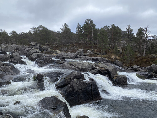 Det brusar godt i Longavassåna sjølv om vassføringa er relativt liten