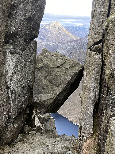 Småsilbolten er eit av naturen sine under!