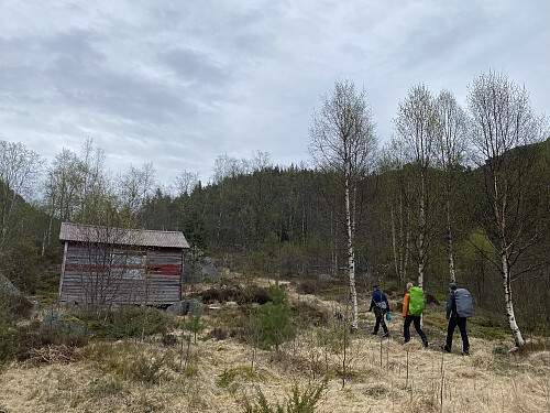 I fint driv oppover frå Grimsli