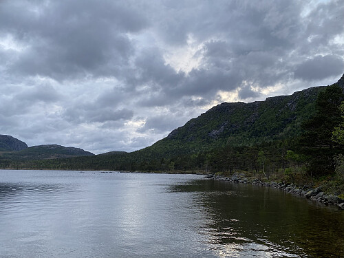 Junikveld under Krunefjell
