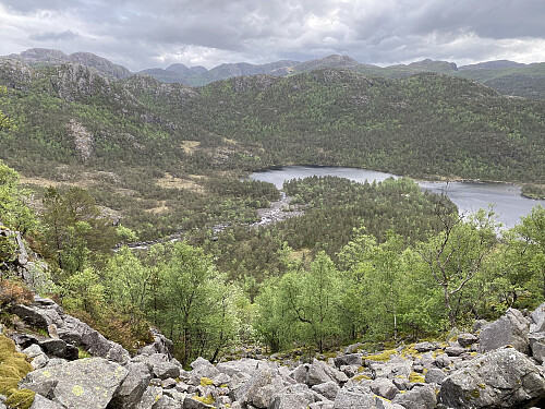 Bratt opp mot Ullskrofjellet via ei mosegrodd ur