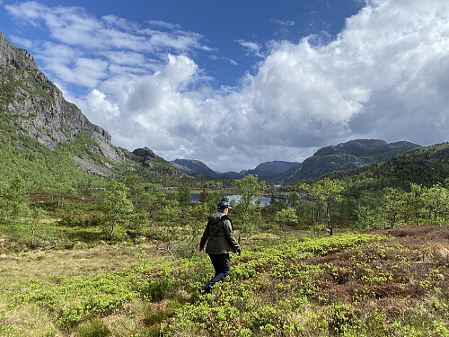 Solgløtt ovanom stemmen
