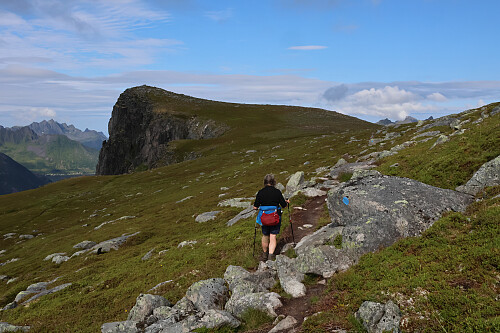 Crossing the plateau to Barden's summit.