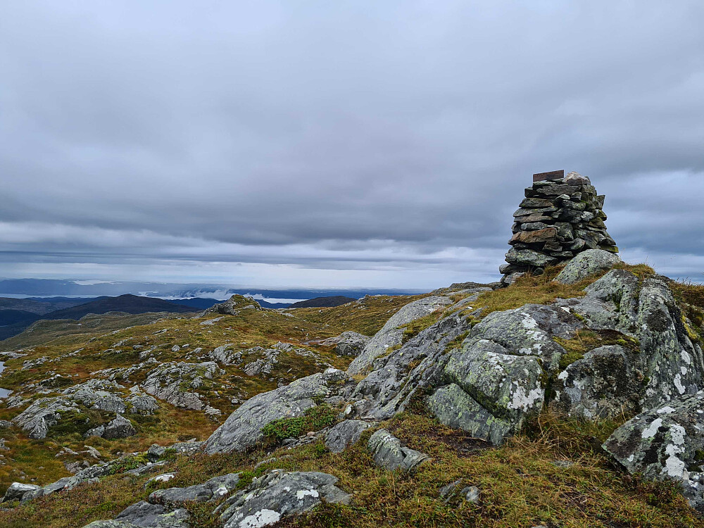 Fitjarhesten 678 moh