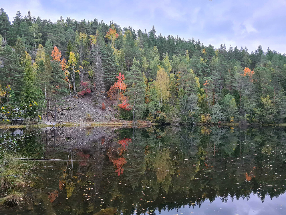 Hagatjern