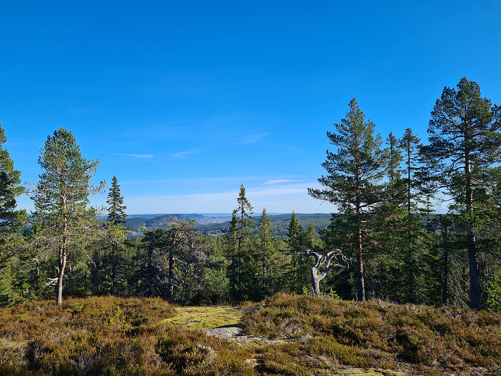 Utsikt østover mot Eggekollene og Tranby i Lier