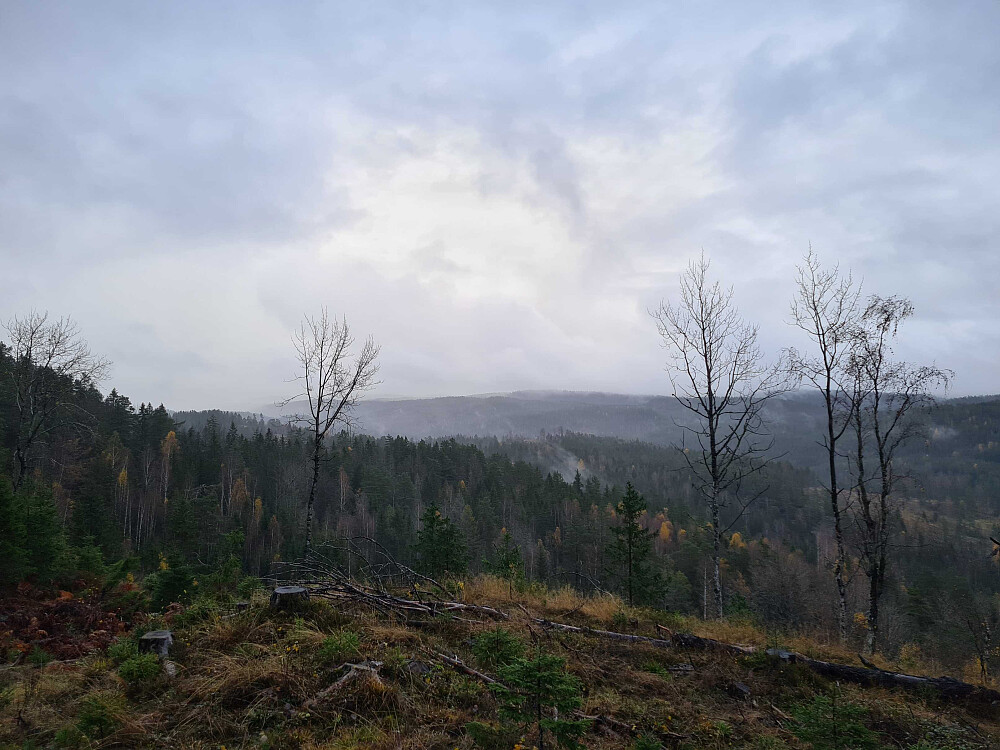 Gløtt av utsikt mot nordøst på vei opp