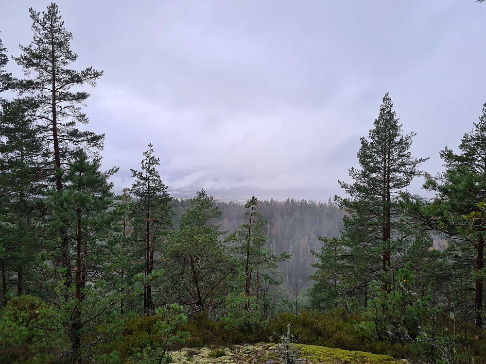 Gløtt av utsikt mot vest på det trigonometriske punktet litt bortenfor selve toppen.